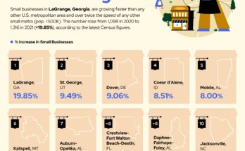 Thriving in the Land of Opportunity: A Guide to Small Business Success in the USA